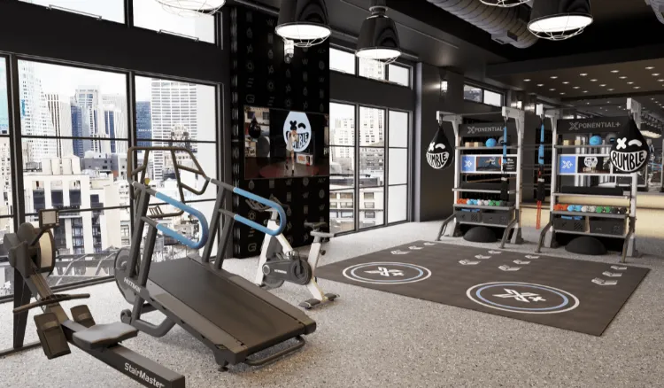 Iron Bull PT Studio Hải Phòng